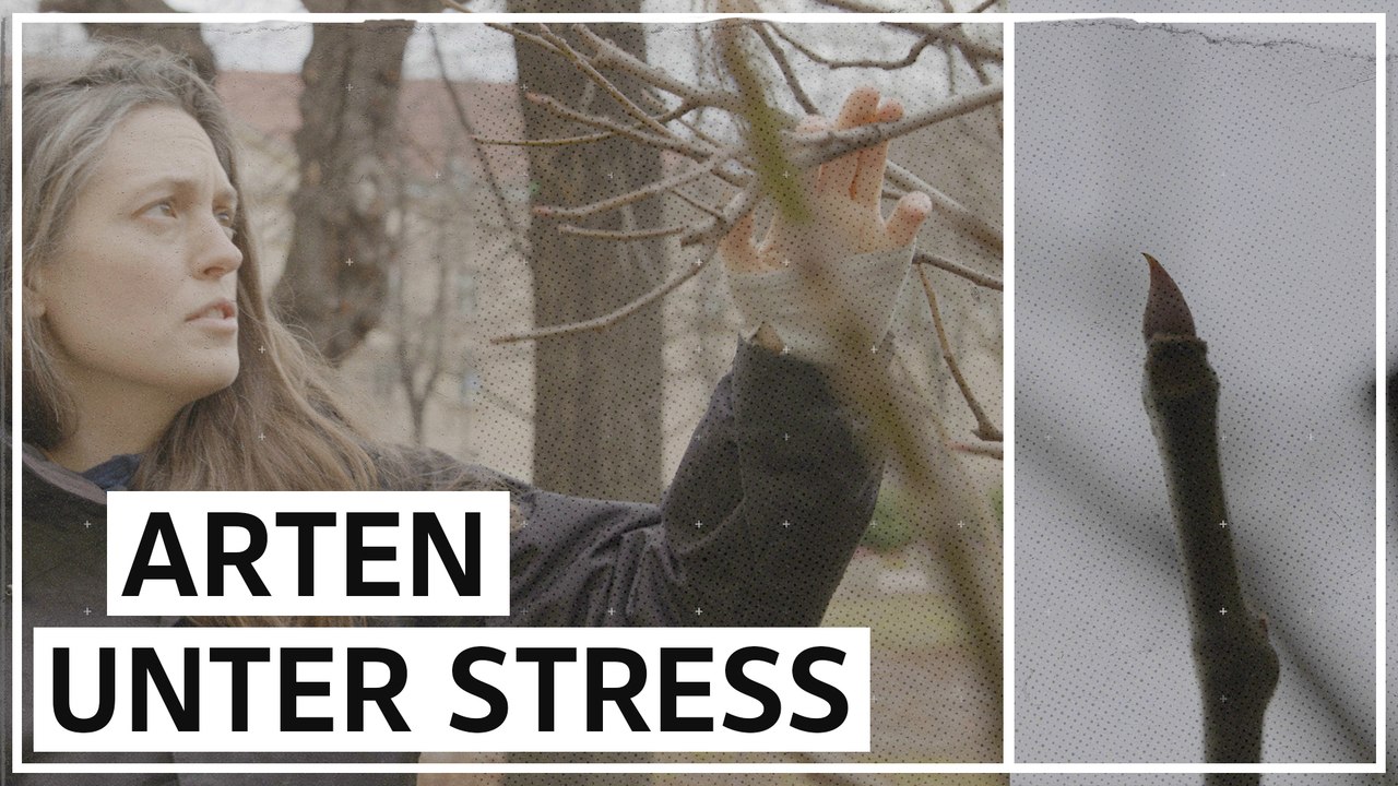 Wie höhere Temperaturen die Tier- und Pflanzenwelt verändern