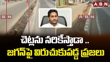 చెట్లను నరికేస్తారా .. జగన్ పై విరుచుకుపడ్డ ప్రజలు _ Public Fires On Jagan _ ABN Telugu
