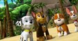 Paw Patrol PAW Patrol S06 E1-Pups Save the Jungle Penguins/ Pups Save a Freighter