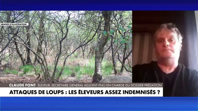 Claude Font sur les attaques de loups : «Les seules mesures de protection qui sont proposées sont, à terme, insuffisantes»