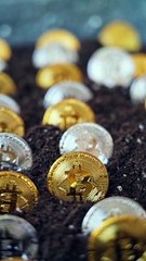 Bitcoin - How it all started