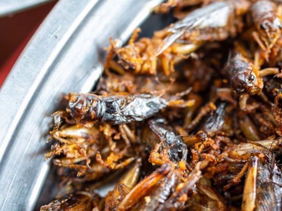 EU-Kommission erlaubt Grillen als Zutat in Lebensmitteln