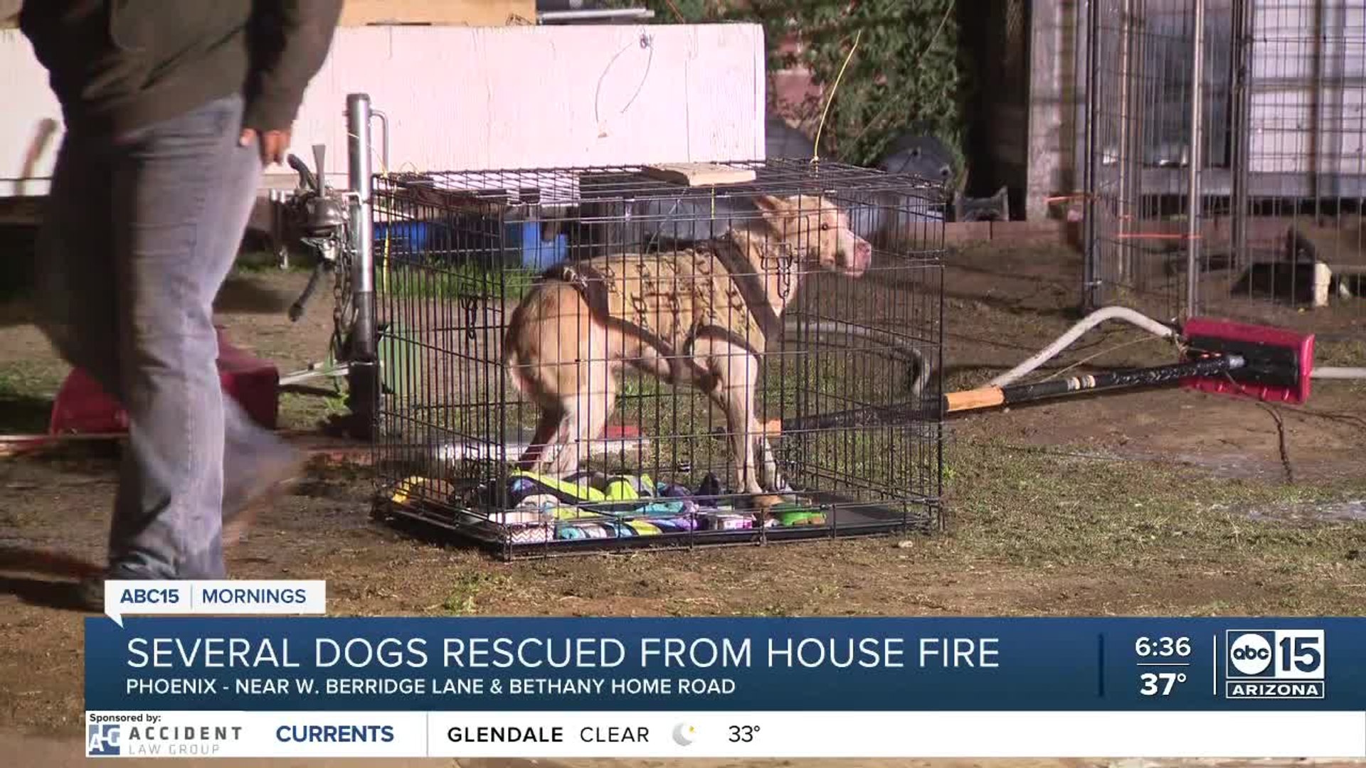 ⁣Animal rescue in need of help after overnight fire