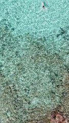 Si, si c'est bien en France ! - Corse (1)