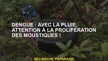 Dengue: Avec la pluie, méfiez-vous de la prolifération des moustiques!