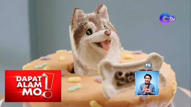 Cake para sa mga alagang hayop, silipin! | Dapat Alam Mo!