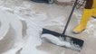 1 minute of ODDLY SATISFYING carpet scraping to relax your mind