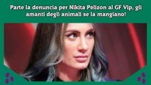 Parte la denuncia per Nikita Pelizon al GF Vip, gli amanti degli animali se la mangiano!