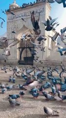 الصلاۃ والسلام علیک یا رسول اللّٰہ