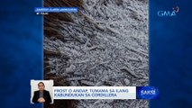 Frost o andap, tumama sa ilang kabundukan sa Cordillera | Saksi