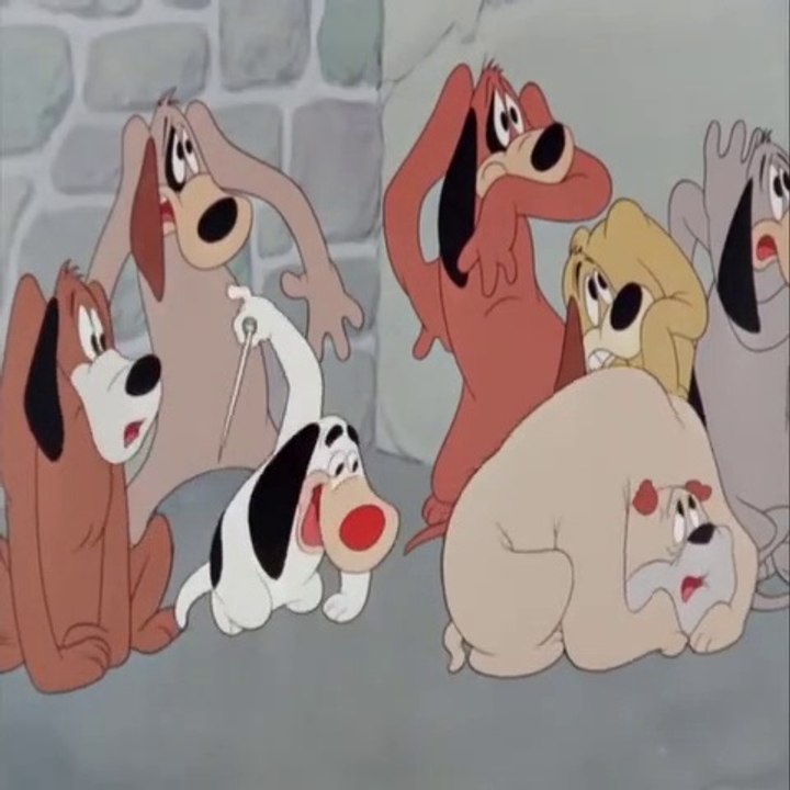 Funny Cartoon Dogs