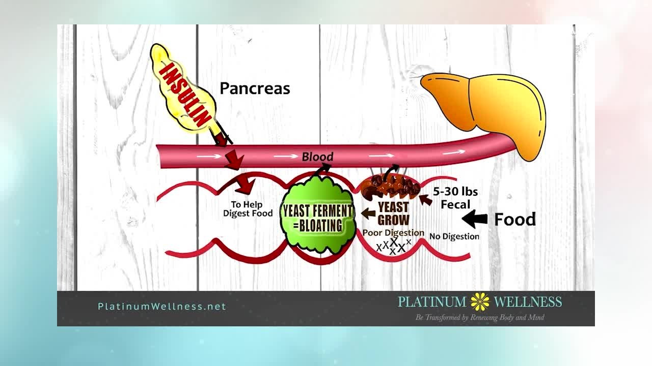 Platinum Wellness & Weight Loss: Get a weight loss plan for 2023