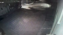 Four thieves caught in CCTV