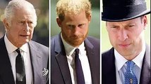 « Amer » Harry a dit qu'il devait céder à King et William alors que les Sussex commençaient à perdre