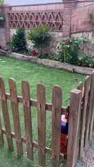 Video de la granizada caída en Rincón de la Victoria (Málaga).