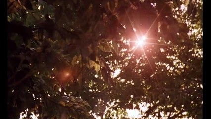 The Virgin Suicides | movie | 2000 | Official Trailer