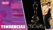 Los #Oscars2023 ya se acercan y estos son los nominados , entérate de las tendencias del día con Adriana Lugo