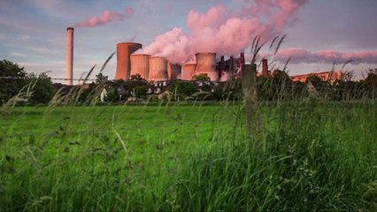 Environmental Group Files Lawsuit Against German Government