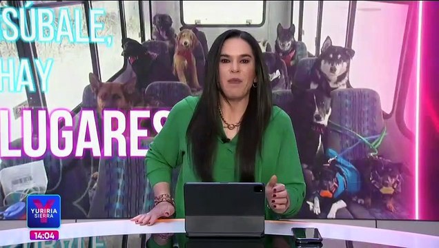 Confirman la muerte de José Melesio, joven desaparecido en Zacatecas