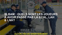 SLBAM: Quels sont les joueurs qui ont traversé l'ECHL, LAH & LNH?