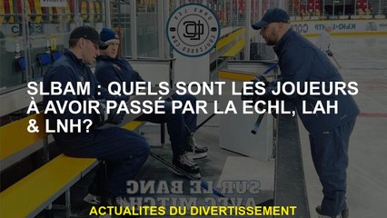 SLBAM: Quels sont les joueurs qui ont traversé l'ECHL, LAH & LNH?