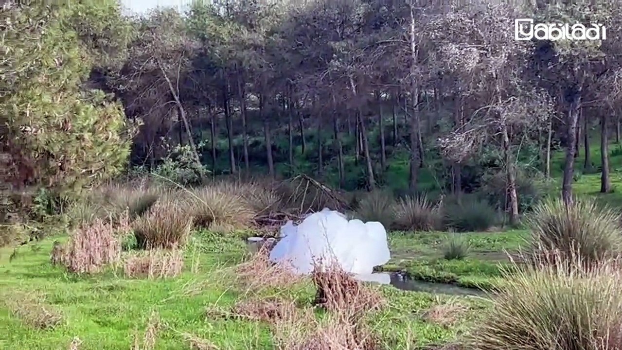 Impressionantes pollutions dans la forêt de Bouskoura