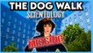 The Disappearance of Scientology's 'First Lady'
