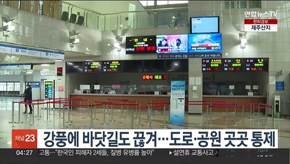 강풍에 바닷길도 끊겨…도로·공원 곳곳 통제