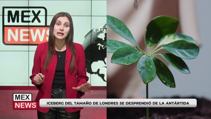 ICEBERG DEL TAMAÑO DE LONDRES SE DESPRENDIÓ DE LA ANTÁRTIDA