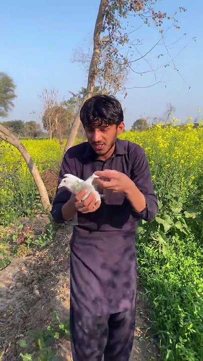 ہم اپنا پیٹ بھرنے کے لیے پرندوں کا شکار تو کر لیتے ہیں لیکن