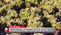 Cochabamba: heladas afectaron a 21 municipios y más de cinco por sequías y granizadas