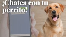 Así podrás chatear con tu perro