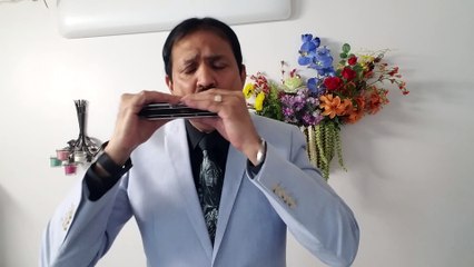 Download Video: Hariyali Aur Rasta Bol Meri Taqdeer Main Kya Hay-Film Hariyali Aur Rasta 1962 on Harmonica Live Performance by Mukund Kamdar