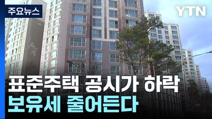 표준 단독주택·표준지 공시가격 6% 인하...아파트는 더 내릴 듯 / YTN