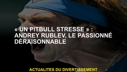 "Un pit-bull stressé": Andrey Rublev, le passionné déraisonnable