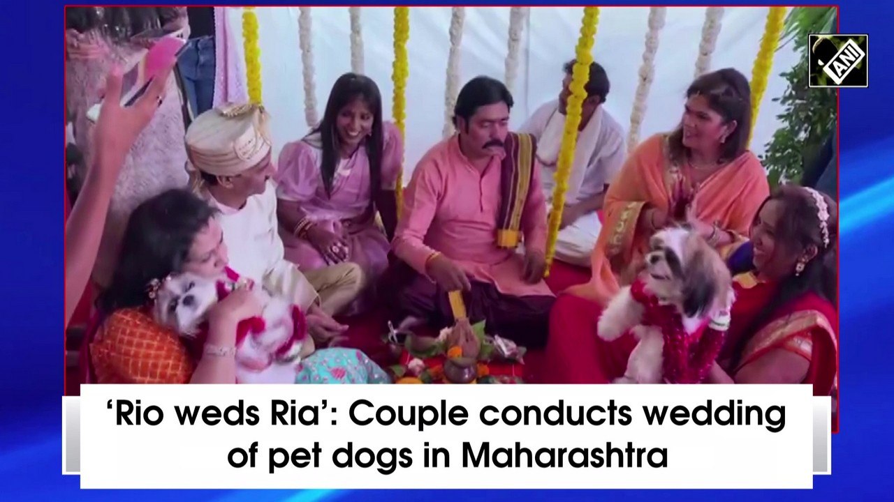 ‘Rio weds Ria’: Couple holds wedding of pet dog...