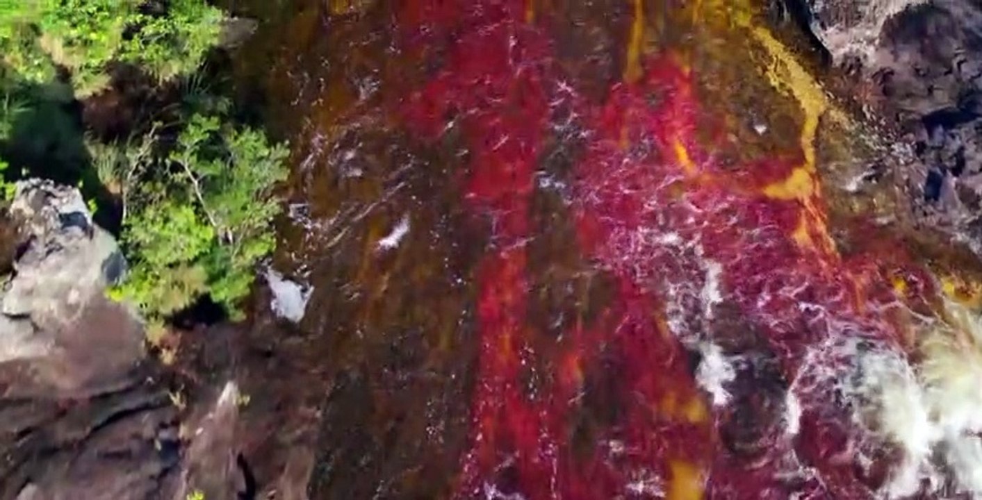 Our Planet S01 E07