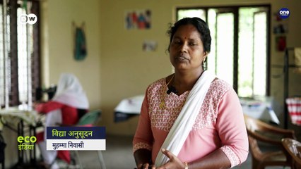 केरल की विद्या अनुसूदन, जिनके काम से पर्यावरण का भला हो रहा है