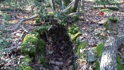 Defineciler mezarlığı bu hale getirdi