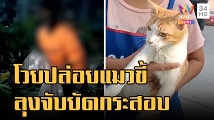 ลุงสุดทนเพื่อนบ้านปล่อยแมวขี้-ฉี่หน้าบ้าน จับใส่กระสอบหาเจ้าของ | ข่าวเที่ยงอมรินทร์ | 25 ม.ค.66