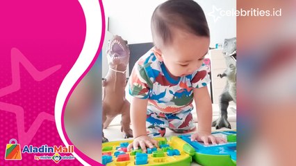 Lucunya Cipung Olahraga Push Up Bareng Dino, Netizen makin Gemas