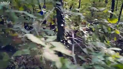 Halasat - قيامة ارطغرل