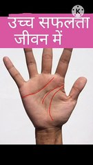 High success in life  #palmistry #palmreading #hastrekha  #palmistryinhindi #palmist