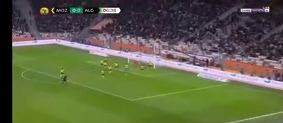 بث مباشر مباراة الجزائر ضد كوت ايفوار للمحليين 
