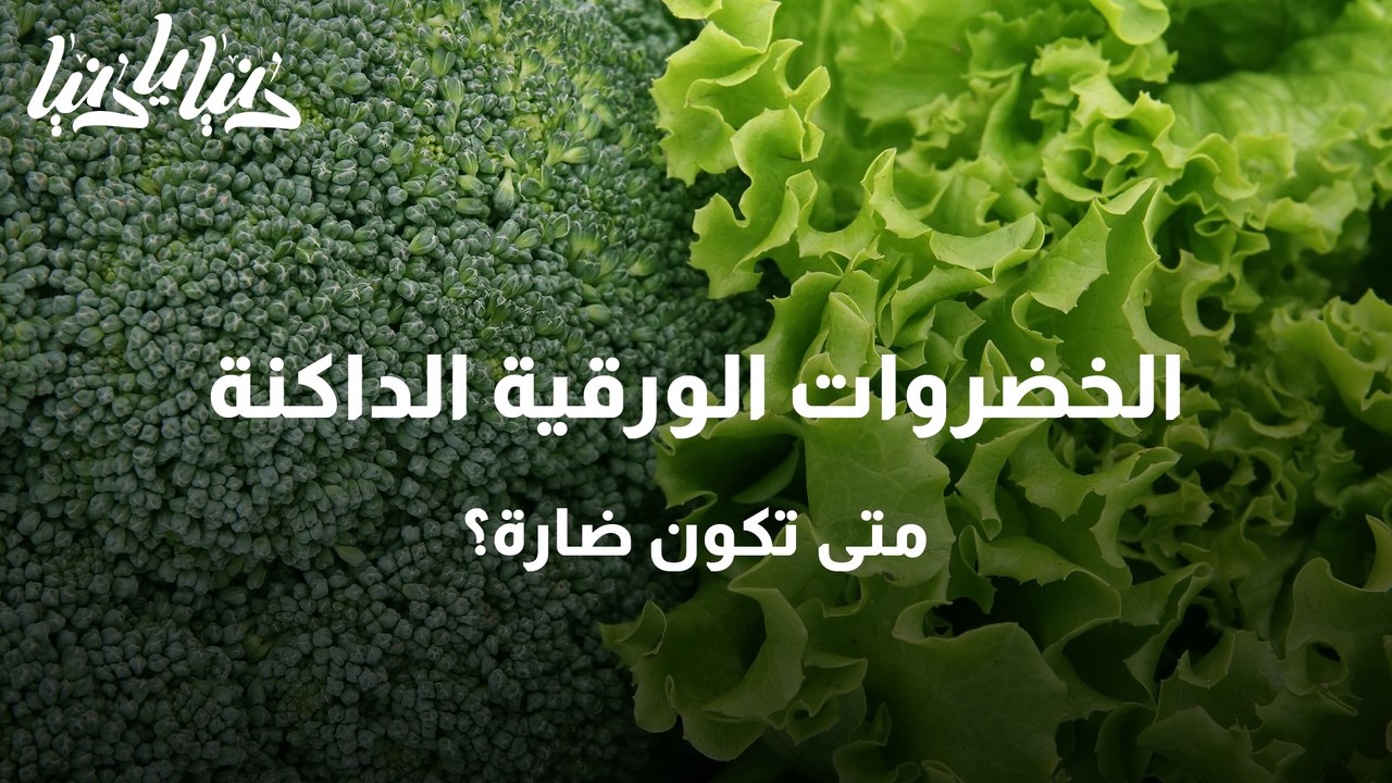 ما هي الخضروات الورقية الأكثر فائدة للجسم؟