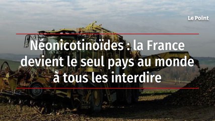 Néonicotinoïdes : la France devient le seul pays au monde à tous les interdire