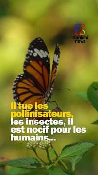 Finito pipo le pesticide « tueur d’abeilles »