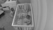 Four Year Old Caught On Security Camera Reassuring Sibling Things Will Be Okay | Happily TV