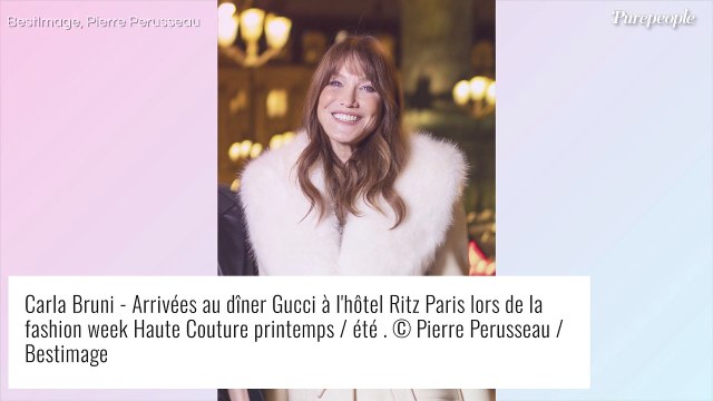 Carla Bruni : Chic et sexy en fourrure pour un dîner de luxe, devant Lou Doillon et Lena Situations accordées