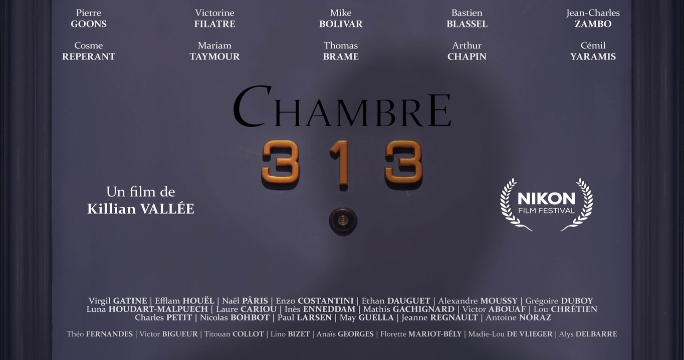 CHAMBRE 313